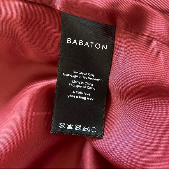 Babaton Pearce Wool and Cashmere Coat Aritzia - Picture 15 of 16